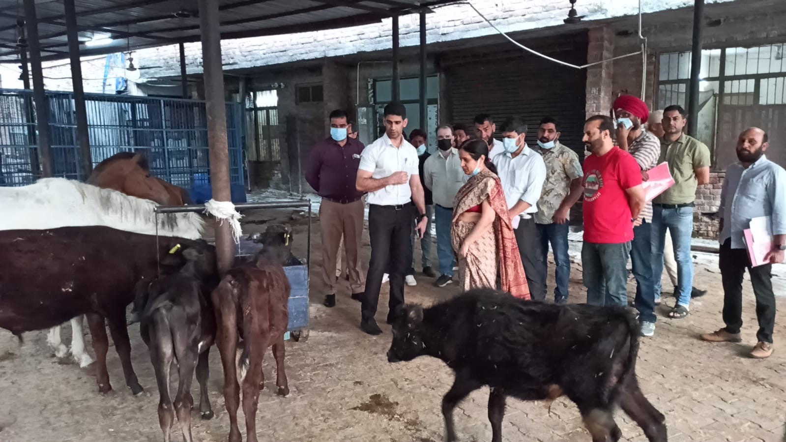 'Comm/Secy  H&UDD, Comm JMC visit animal care facilities in Jammu'