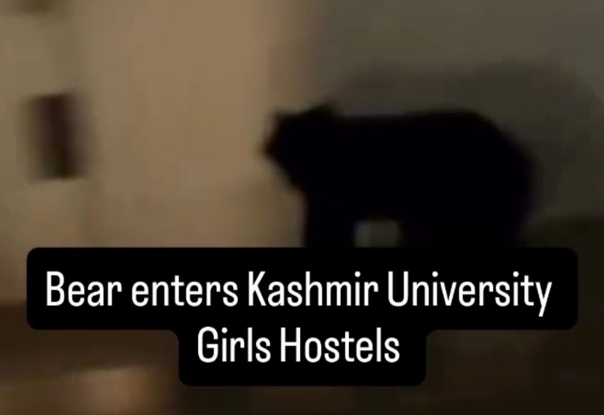 Panic at Kashmir University Girls Hostels after Black Bear strays into campus