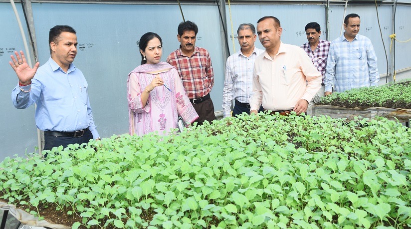 'IAS Anmol Rathore visits Directorate of Agriculture Jammu'
