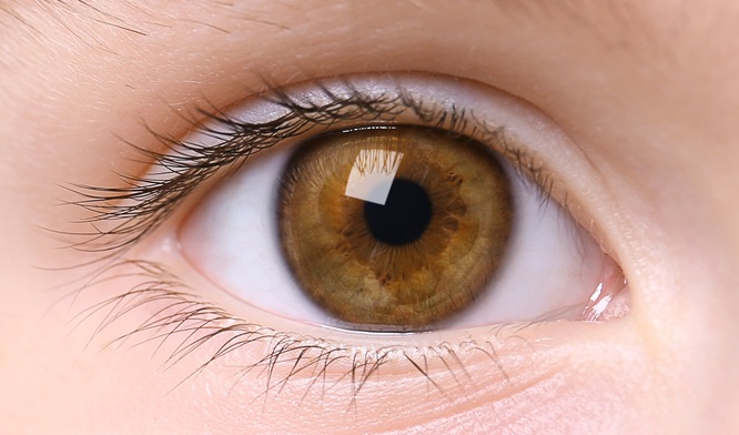 '2 Patients can now see through donated Eyes of late Mother of Law Secretary Achal  & Director MCH Poonam Sethi'