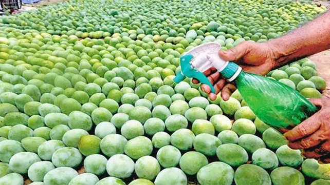 FSSAI calls for crackdown on illegal fruit ripening practices: States/UTs directed to enforce norms