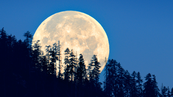 Jammu Man buys Land on Moon