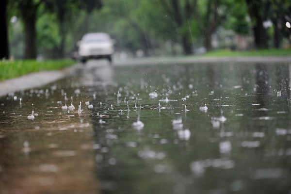 'Rains lash Jammu and Kashmir, MeT forecasts more '