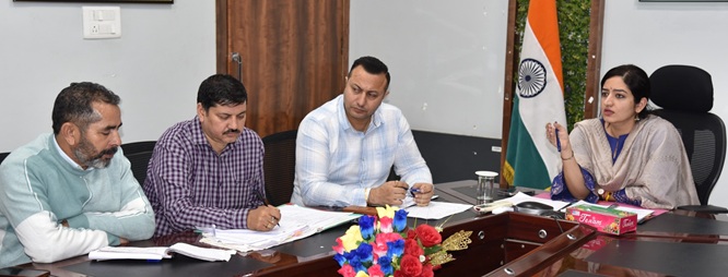 DivCom  directs for Rationalization of Patwar Halqas across Jammu Division; DC Udhampur initiates process 