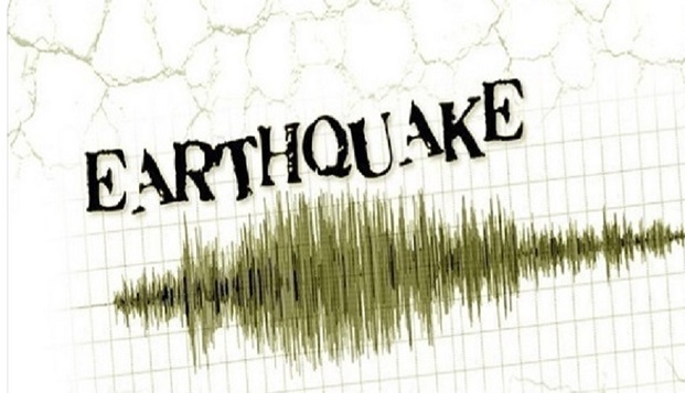 Mild Earthquake Hits Ladakh, No Report Of Damage 