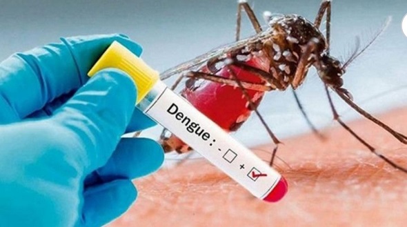 JMC's  Dengue Sprays Impact? Jammu leads in Dengue cases on daily basis:  Reports 55 fresh cases