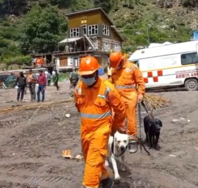 04 specially trained sniffer dogs deployed at Chisoti for tracing human remains