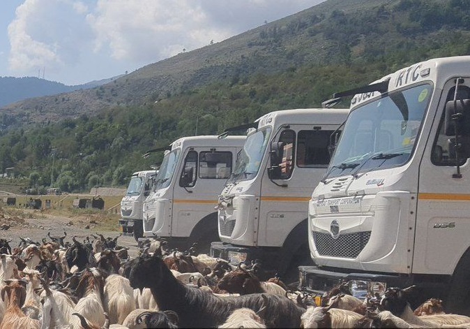  Transhumance: 12,497 families, 1.56 Lakh livestock provided transport facilities from Kashmir