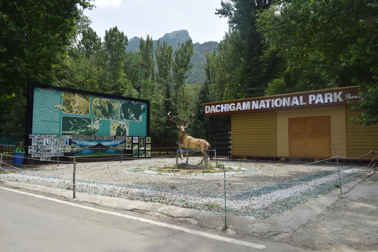 J&K tops in protected areas management; Rana lauds wildlife protection Dept