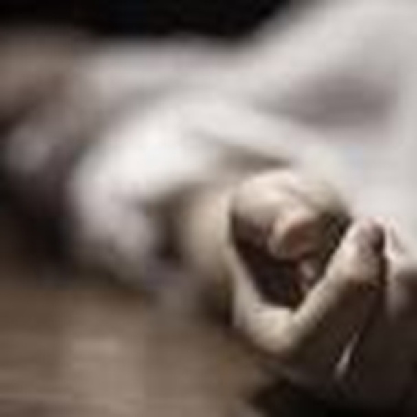 03 suspected overground workers detained under PSA in Kathua