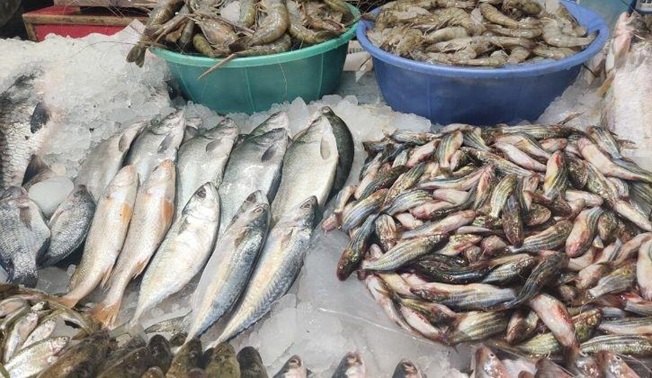 Seizing expired fish/meat, challans, FIRs serve the purpose  for such a slow poisoning act