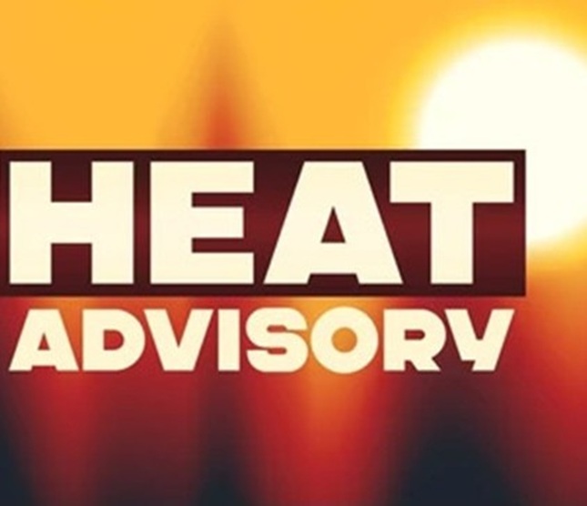 'DGHS issues Advisory to protect Citizens from Heat Stress, Illnesses; Recommends AYUSH Remedies '