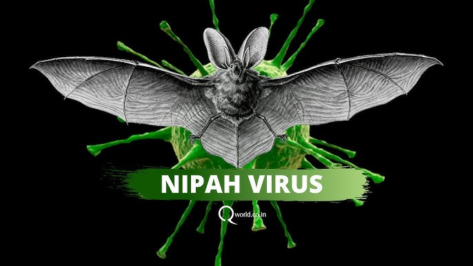 Nipahvirus strikes India