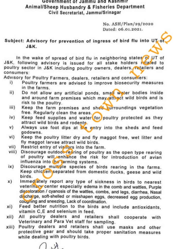 Govt Issue Advisory For Prevention Of Ingress Of Bird Flu In J K Cross Town News A Leading Newspaper Of J K Govt Issue Advisory For Prevention Of Ingress Of Bird Flu In J K Cross Town News A Leading Newspaper Of J K
