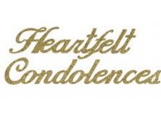 World conveys deepest condolences to the families of those who lost 62 lives in plane crash in Indonesia 
