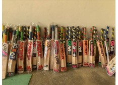 J&K Govt keen to make Kashmir willow bat a world class product: Official