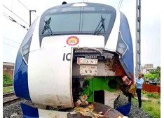 Strong body of Vande Bharat Express train rams into cattle, damaged
