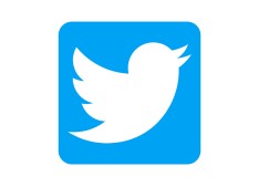 Twitter bans over 54000 accounts in India for promoting sexual content, terror 