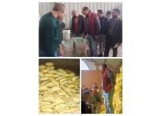 J&K's Scam: Huge quantity of subsidized urea seized from Plywood Industry
